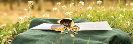 Seeds Envelopes