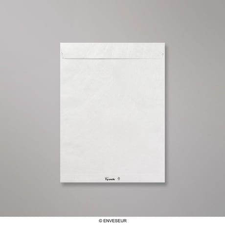 Tyvek Tear-Resistant Envelopes