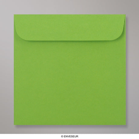 CD envelopes without window